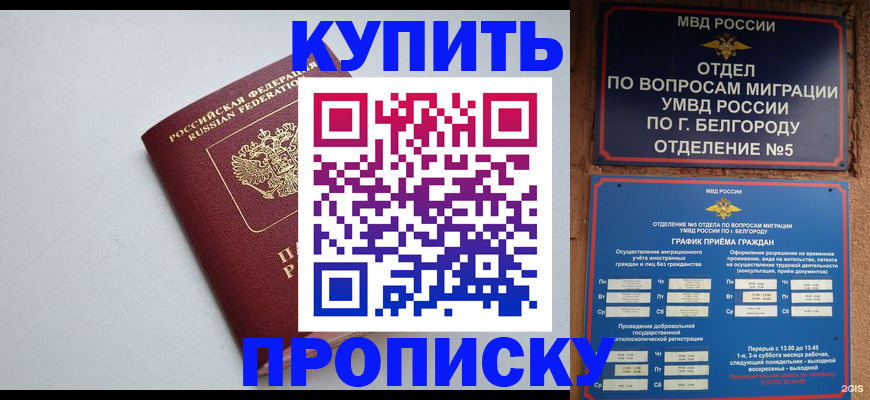 прописка регистрация в Сорске